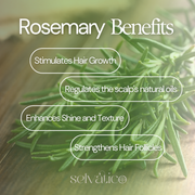 Rosemary Shampoo and Conditioner SET Selvatico
